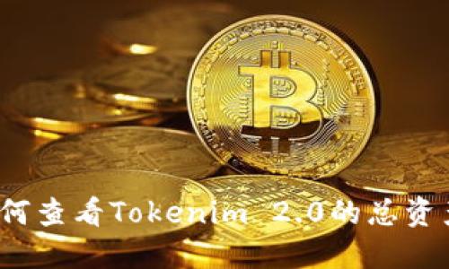 如何查看Tokenim 2.0的总资产？