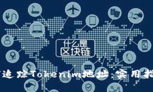 ## 如何追踪Tokenim地址：实用指南与技巧