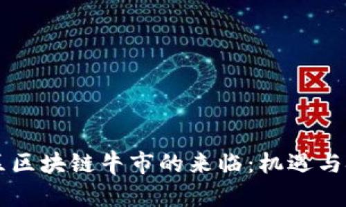 币区区块链牛市的来临：机遇与挑战