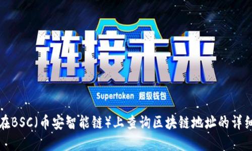 如何在BSC（币安智能链）上查询区块链地址的详细指南