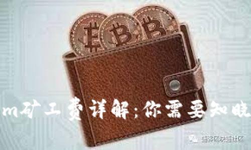 Tokenim矿工费详解：你需要知晓的一切