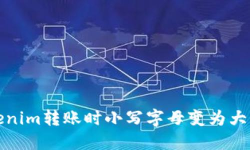 如何解决Tokenim转账时小写字母变为大写字母的问题