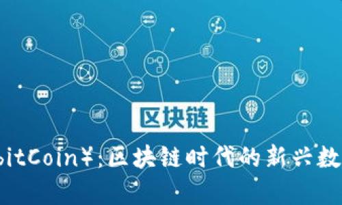 瑞博币（RebitCoin）：区块链时代的新兴数字货币解析