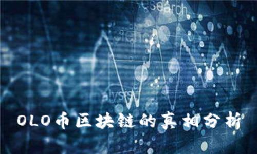 OLO币区块链的真相分析