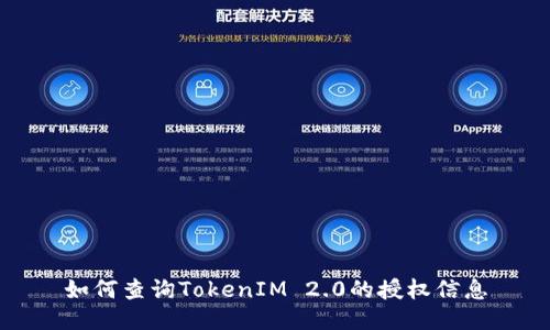 如何查询TokenIM 2.0的授权信息