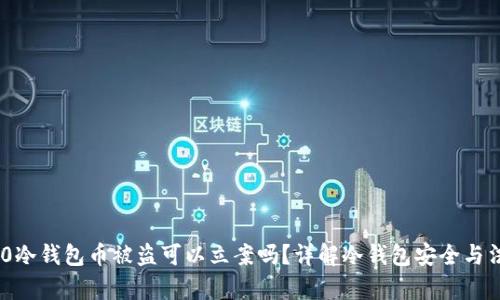 Tokenim 2.0冷钱包币被盗可以立案吗？详解冷钱包安全与法律救济途径