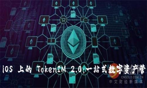  全面解析 iOS 上的 TokenIM 2.0：一站式数字资产管理解决方案