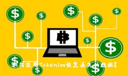 如何使用Tokenim恢复丢失的数据？
