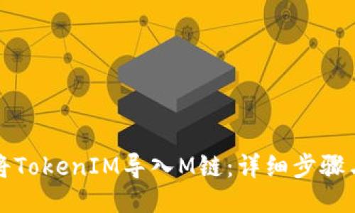 如何将TokenIM导入M链：详细步骤与技巧