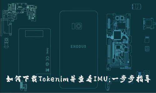 如何下载Tokenim并查看IMU：一步步指导