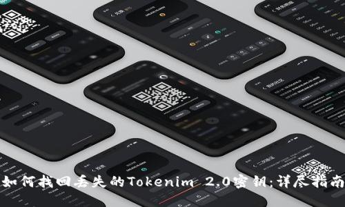 如何找回丢失的Tokenim 2.0密钥：详尽指南