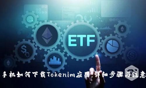 苹果手机如何下载Tokenim应用：详细步骤与注意事项