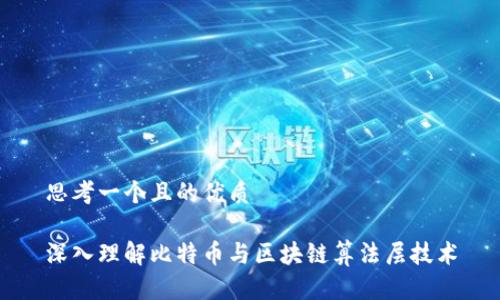 思考一个且的优质

深入理解比特币与区块链算法层技术