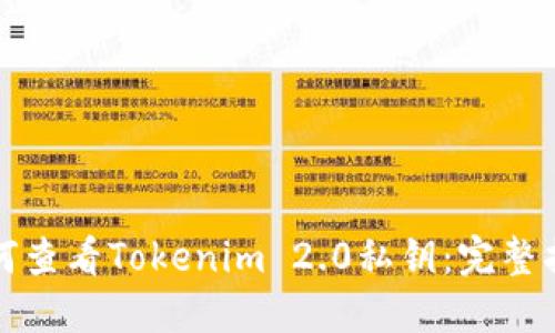 如何查看Tokenim 2.0私钥：完整指南