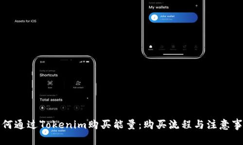 如何通过Tokenim购买能量：购买流程与注意事项