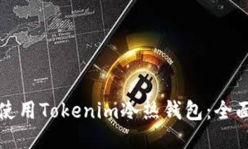 如何使用Tokenim冷热钱包：全面指南