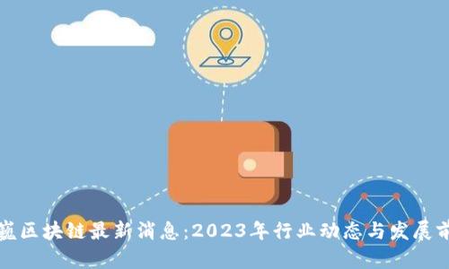 王巍区块链最新消息：2023年行业动态与发展前景