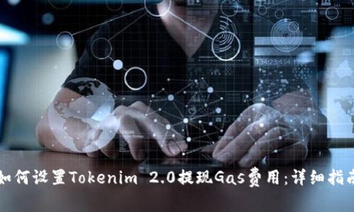 如何设置Tokenim 2.0提现Gas费用：详细指南
