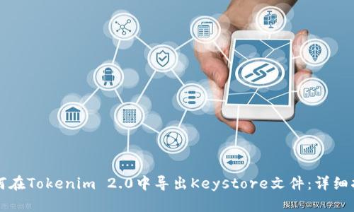如何在Tokenim 2.0中导出Keystore文件：详细指南