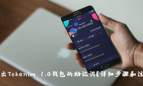 如何导出Tokenim 1.0钱包的助记词？详细步骤和注意事项
