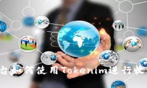 : 区块狗平台如何使用Tokenim进行收款：全面指南