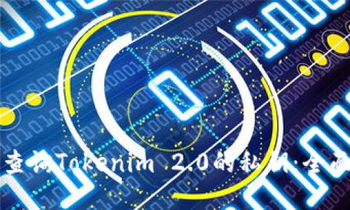 如何查询Tokenim 2.0的私钥：全面指南