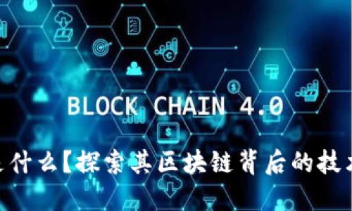 OCC币是什么？探索其区块链背后的技术与应用