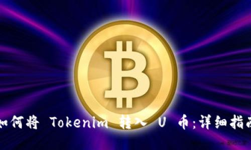 如何将 Tokenim 转入 U 币：详细指南