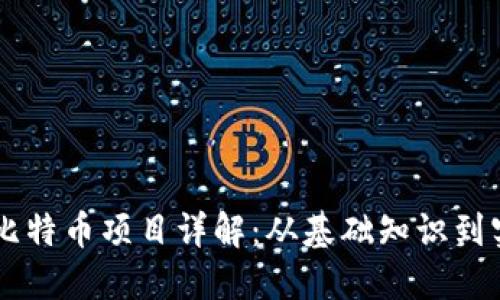 区块链比特币项目详解：从基础知识到实用应用