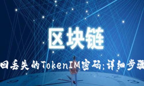 如何找回丢失的TokenIM密码：详细步骤与指南