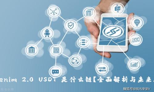 Tokenim 2.0 USDT 是什么链？全面解析与未来展望