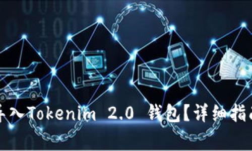 如何在新手机上导入Tokenim 2.0 钱包？详细指南与常见问题解答