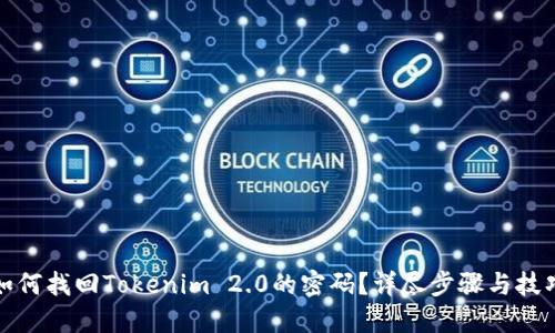 如何找回Tokenim 2.0的密码？详尽步骤与技巧